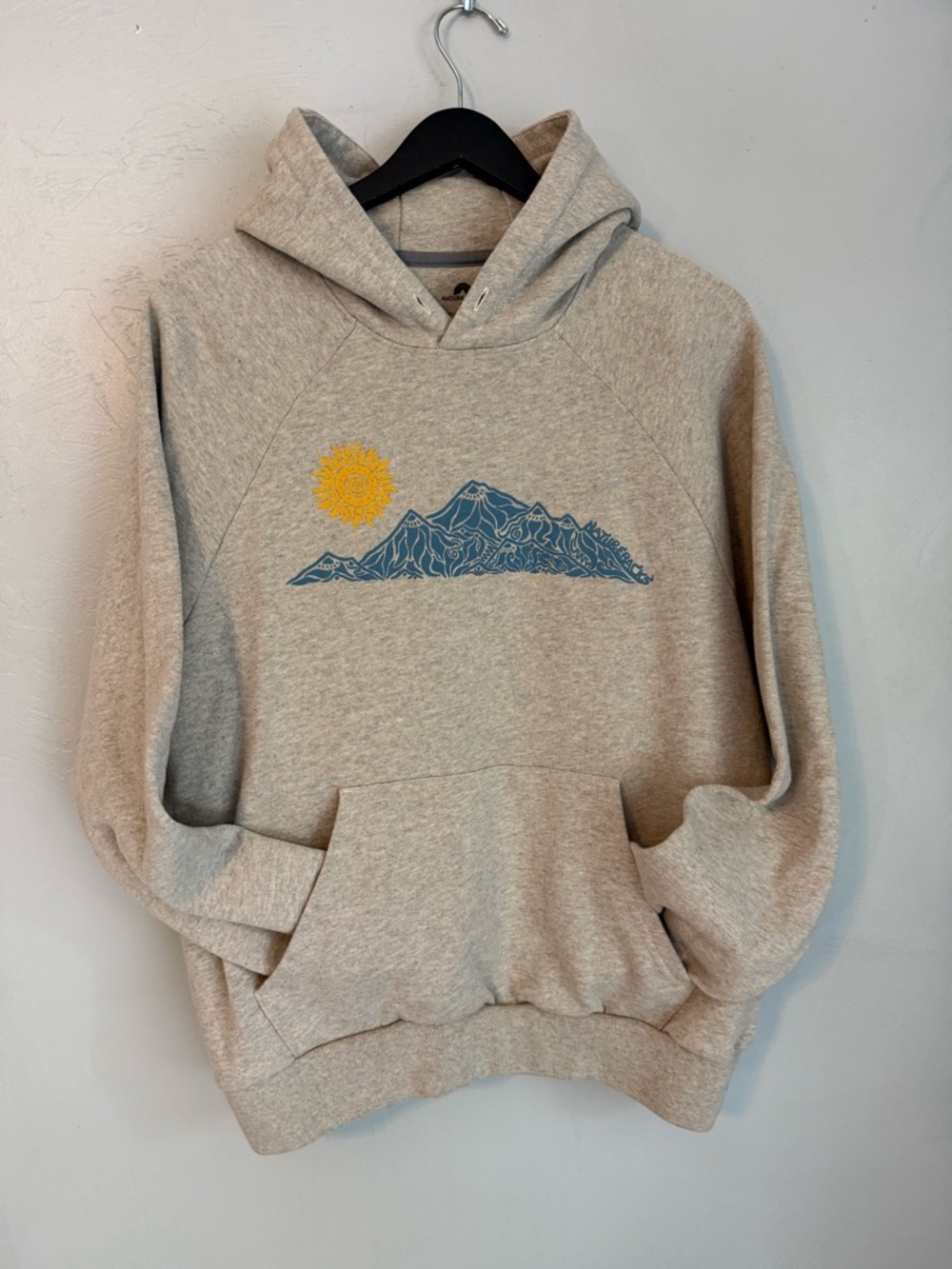 Urban Outfitters Nature Backs Mountain Graphic Hoodie Oatmeal L